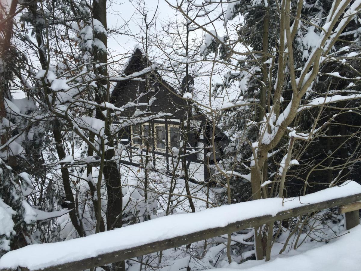 Ferienhaus Sauerlandtraum Winterberg Exteriör bild