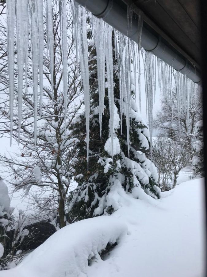 Ferienhaus Sauerlandtraum Winterberg Exteriör bild