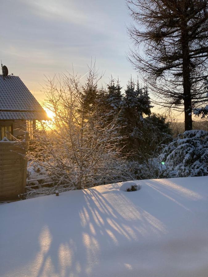 Ferienhaus Sauerlandtraum Winterberg Exteriör bild